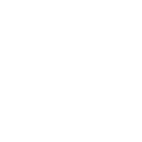 Next JS logo